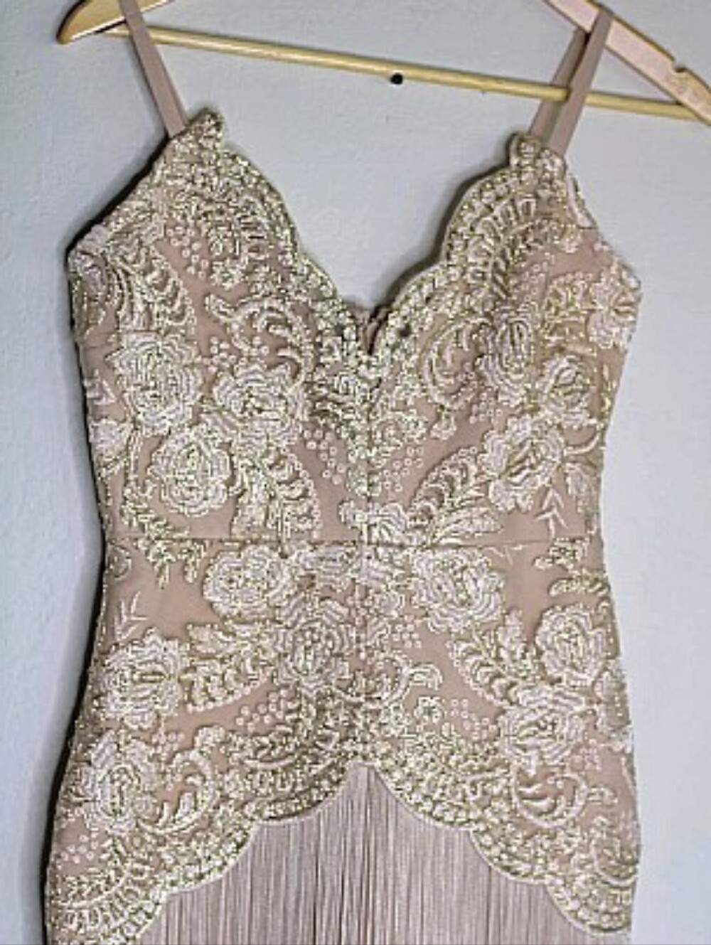 Elliatt Blush Lace-Embellished Fringe Dress